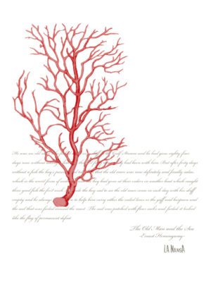 CORAL M/C Azul Egeo Pig.