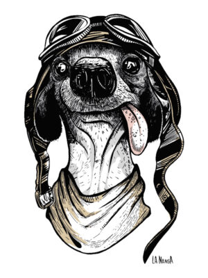 PERRETE M/C Cemento Pig.