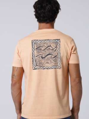 OLAS M/C Damasco Pig.