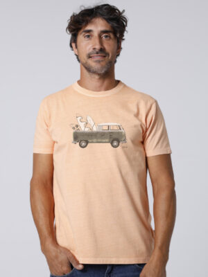 TRANSVAN M/C Damasco Pig.