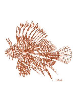 LEON M/C Damasco Pig.