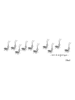 FORMIGUES M/C Musgo Pig.