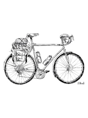 NOMADA M/C Verde Hielo Pig.