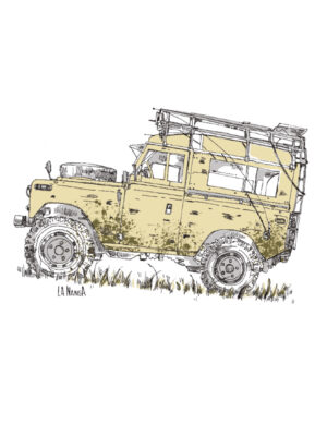 LAND M/C Safari Pig.