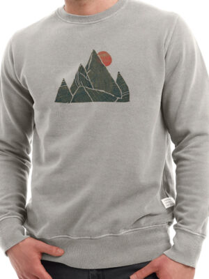 ANILLOS Jer. C/R. Cemento Pig.